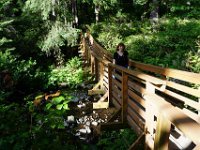 Summer Vacation 2018-163  The Suspension Bridge in Oswald State Park - very wobbly